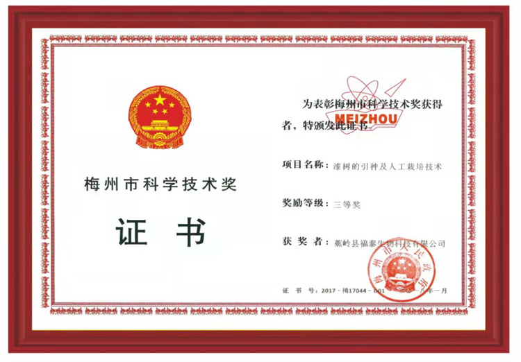梅州市科技技术奖证书